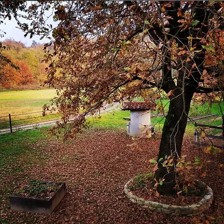 Cameloth فندق مبيت وإفطار 3*