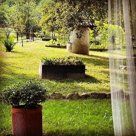 Cameloth Bed & Breakfast